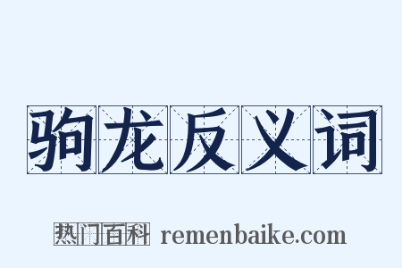 驹龙反义词是什么意思的图片